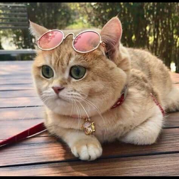 Meet your Posher, Estefania - Picture 1 of 1